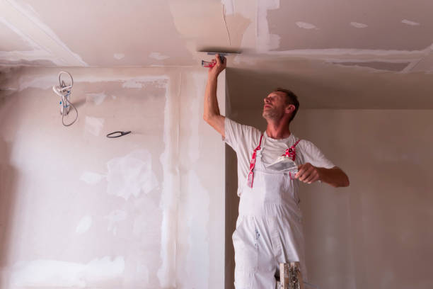 Best Repainting for Renovations  in Appleton, WI